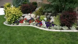 Central Coast Garden Landscape