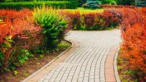 Curved brick paved pathway bordered by garden beds and hedging